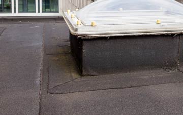 disadvantages of Tremorfa flat roofs