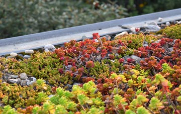 the cost of Tremorfa green roof installation