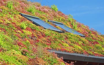Tremorfa living roof systems